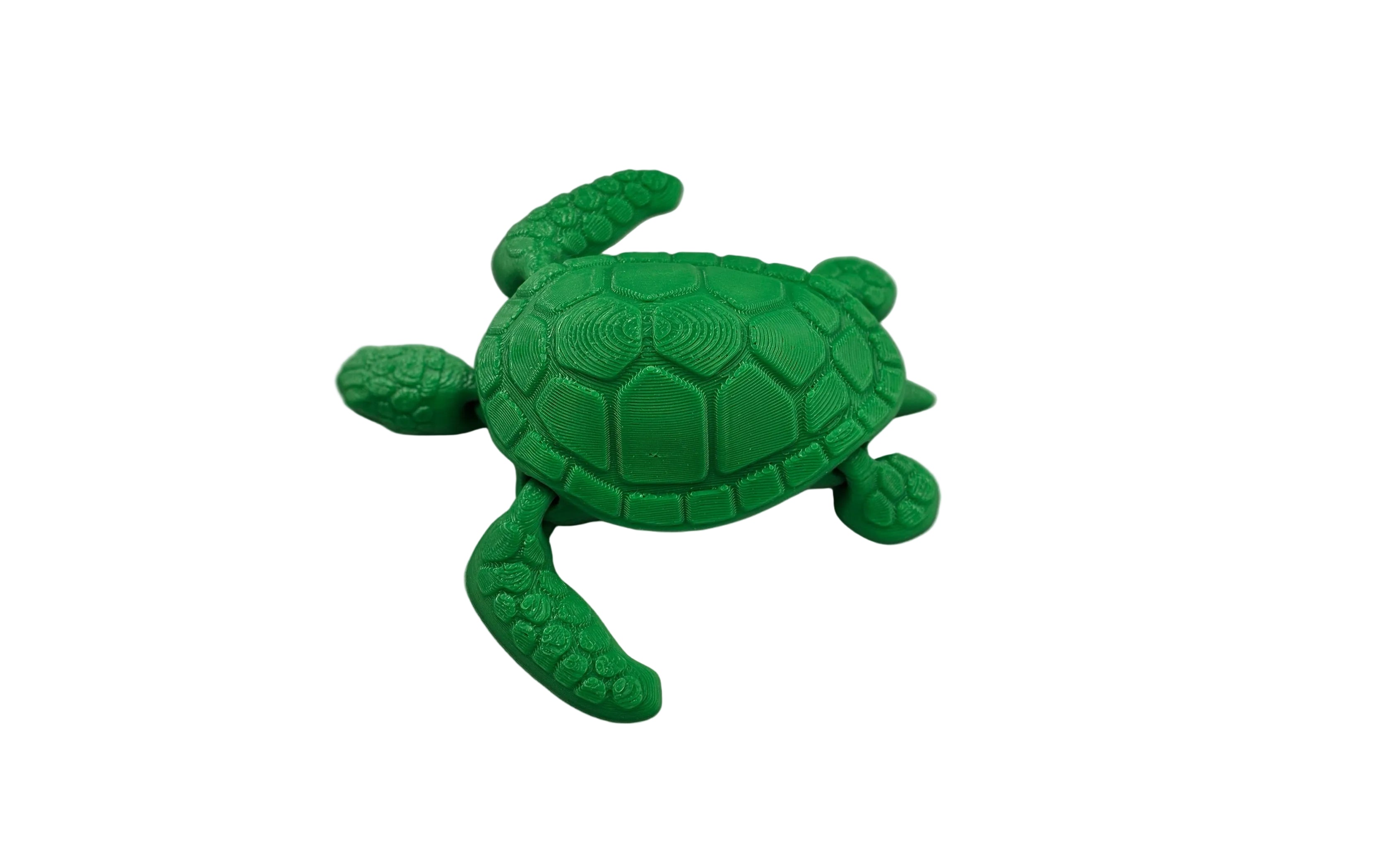 Articulated Turtle