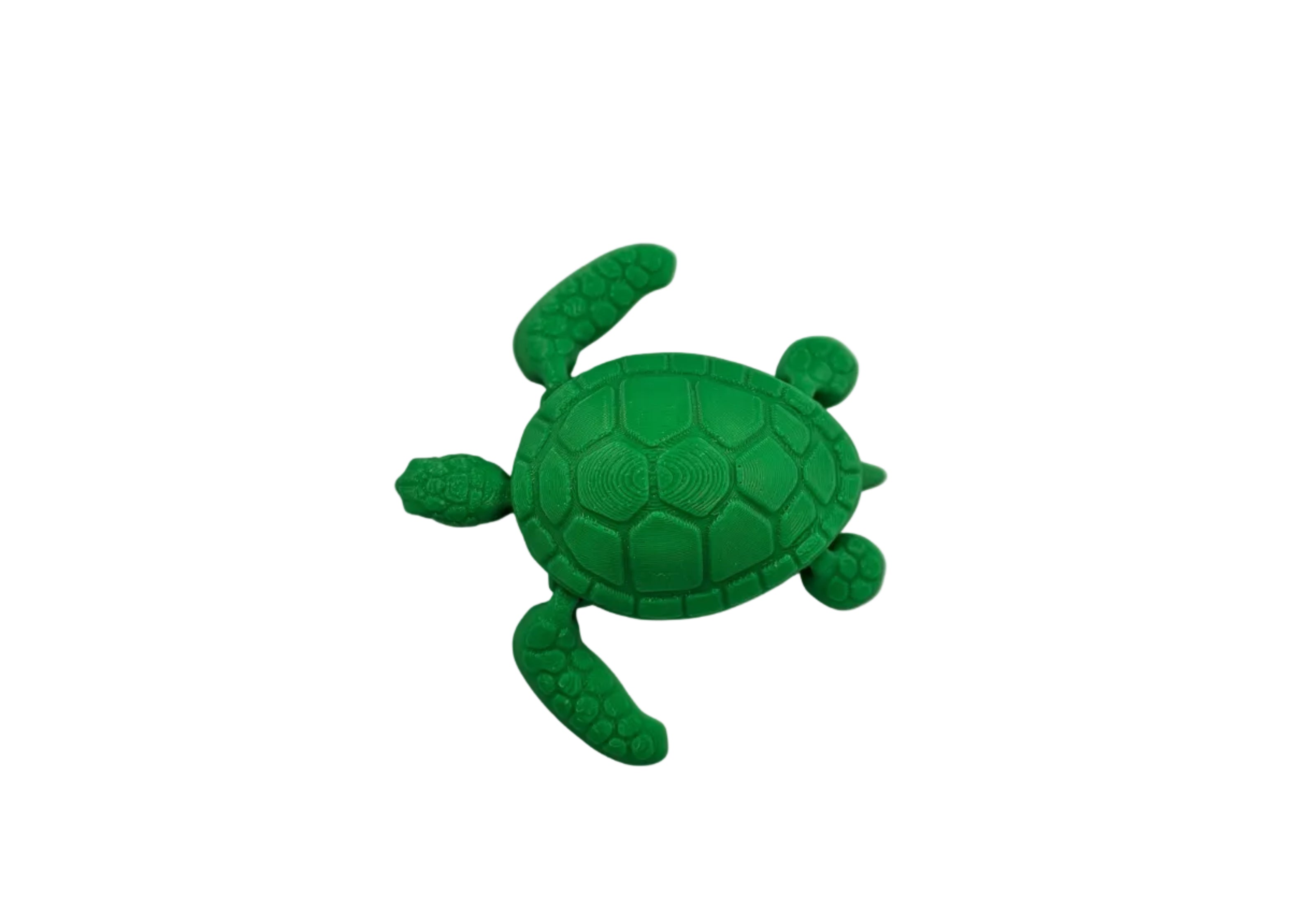 Articulated Turtle