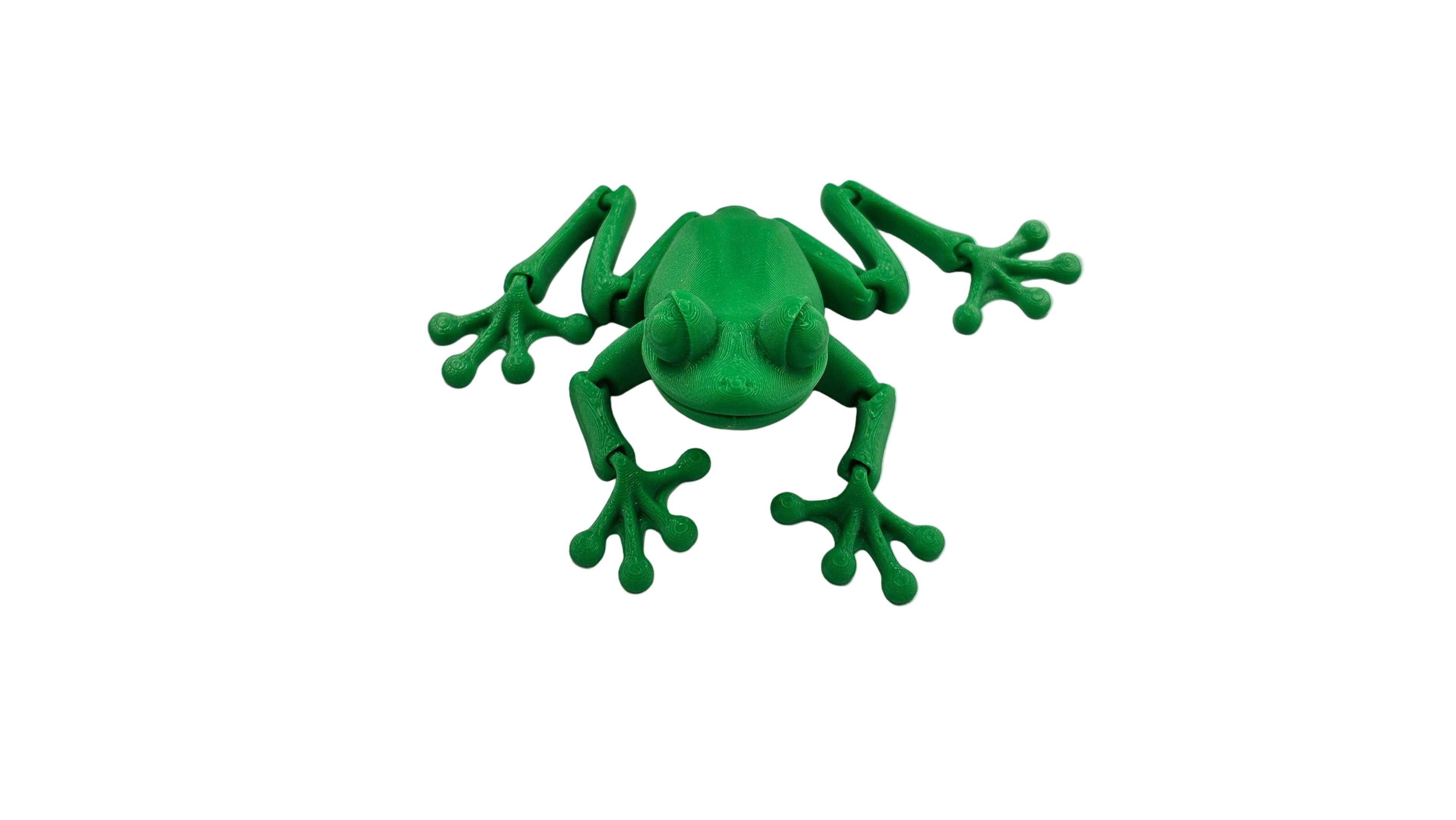 Articulated Frog