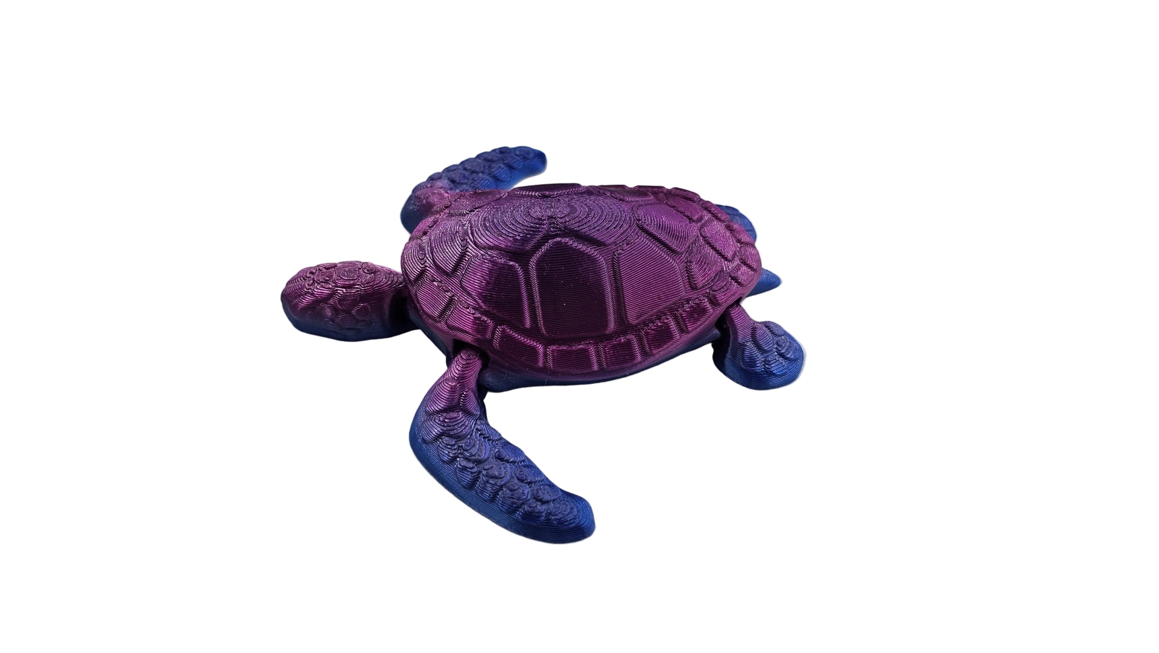 Articulated Turtle