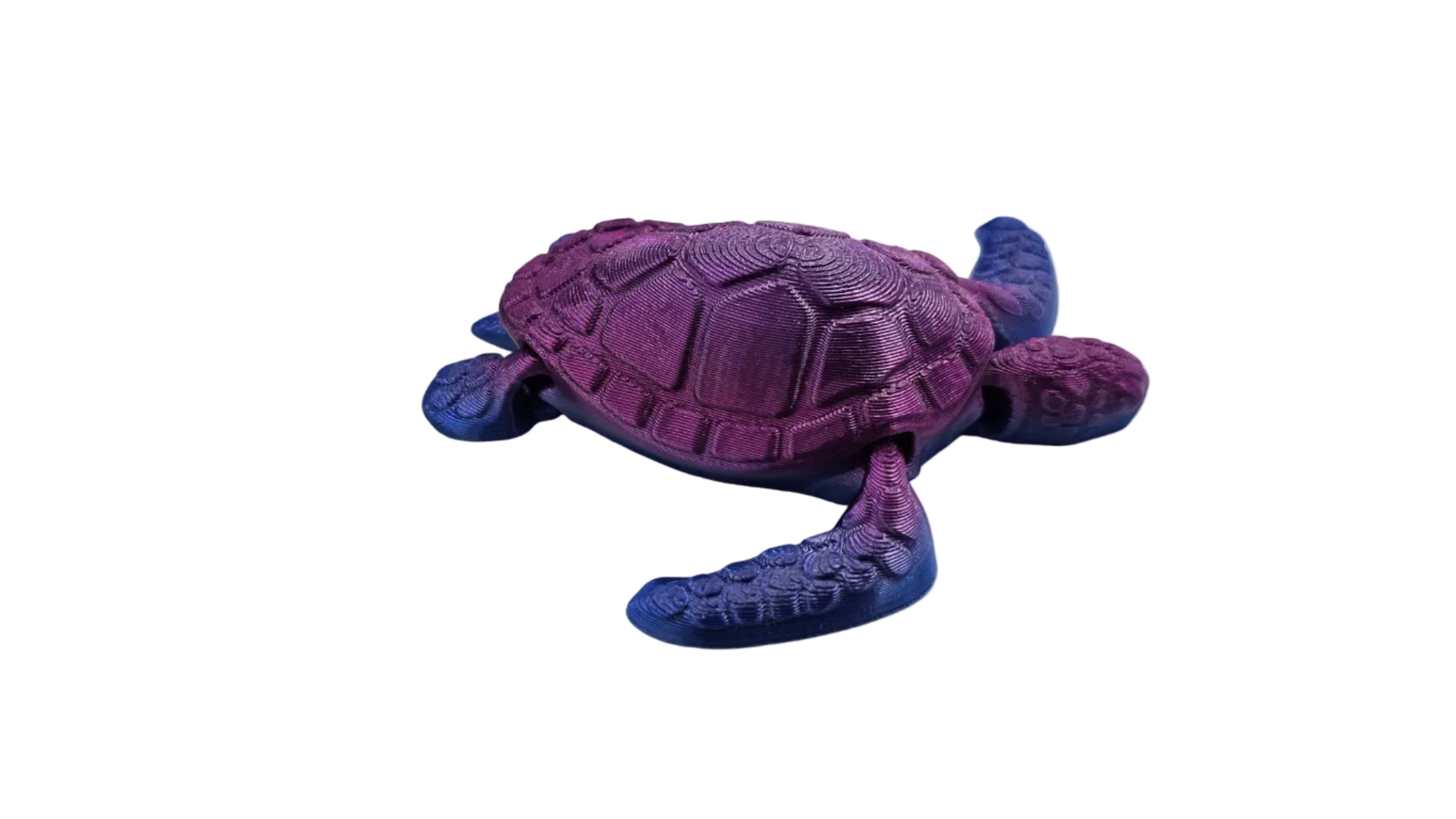 Articulated Turtle