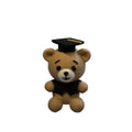 Graduation Teddy Bear