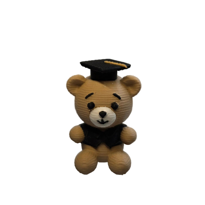 Graduation Teddy Bear