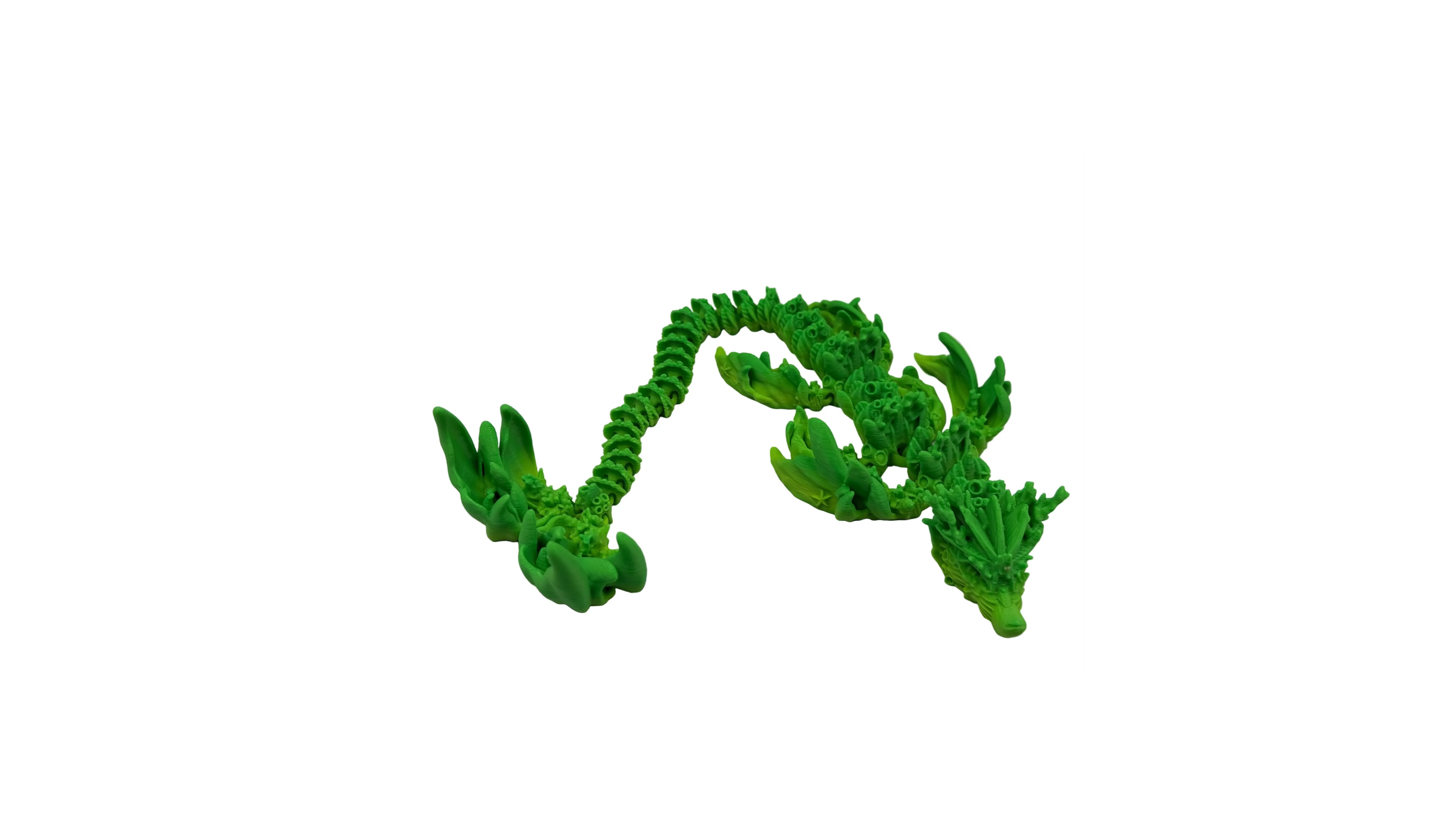 Articulated Coral Reef Dragon