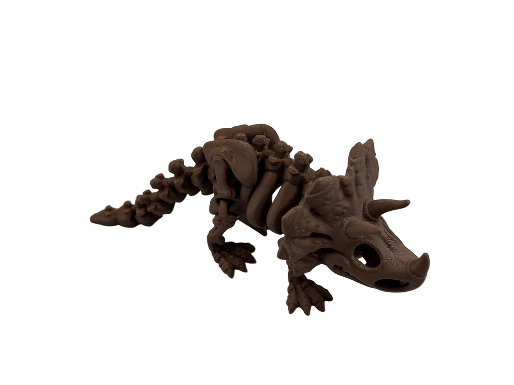 Articulated Skeleton Triceratops