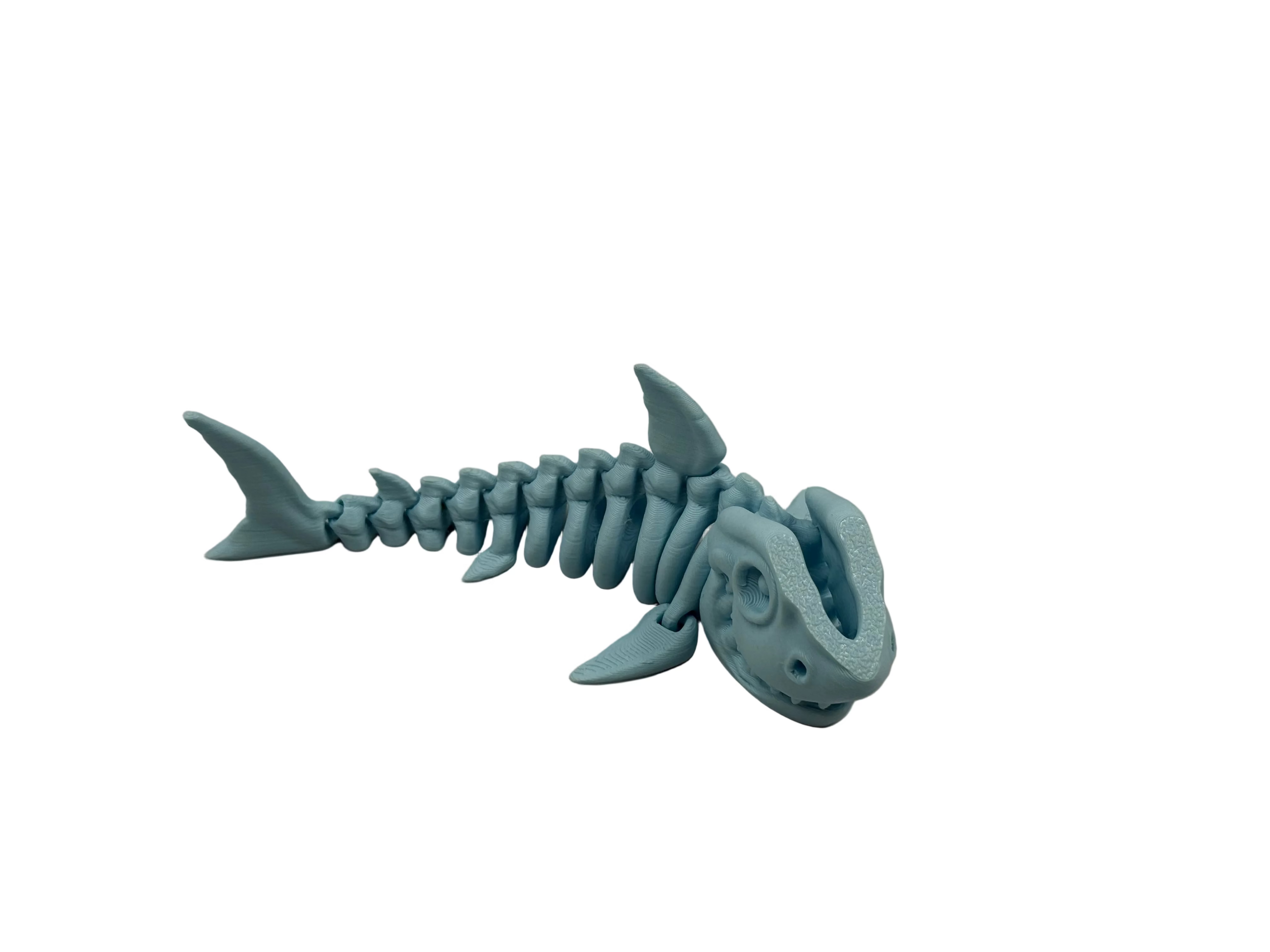 Articulated Skeleton Shark