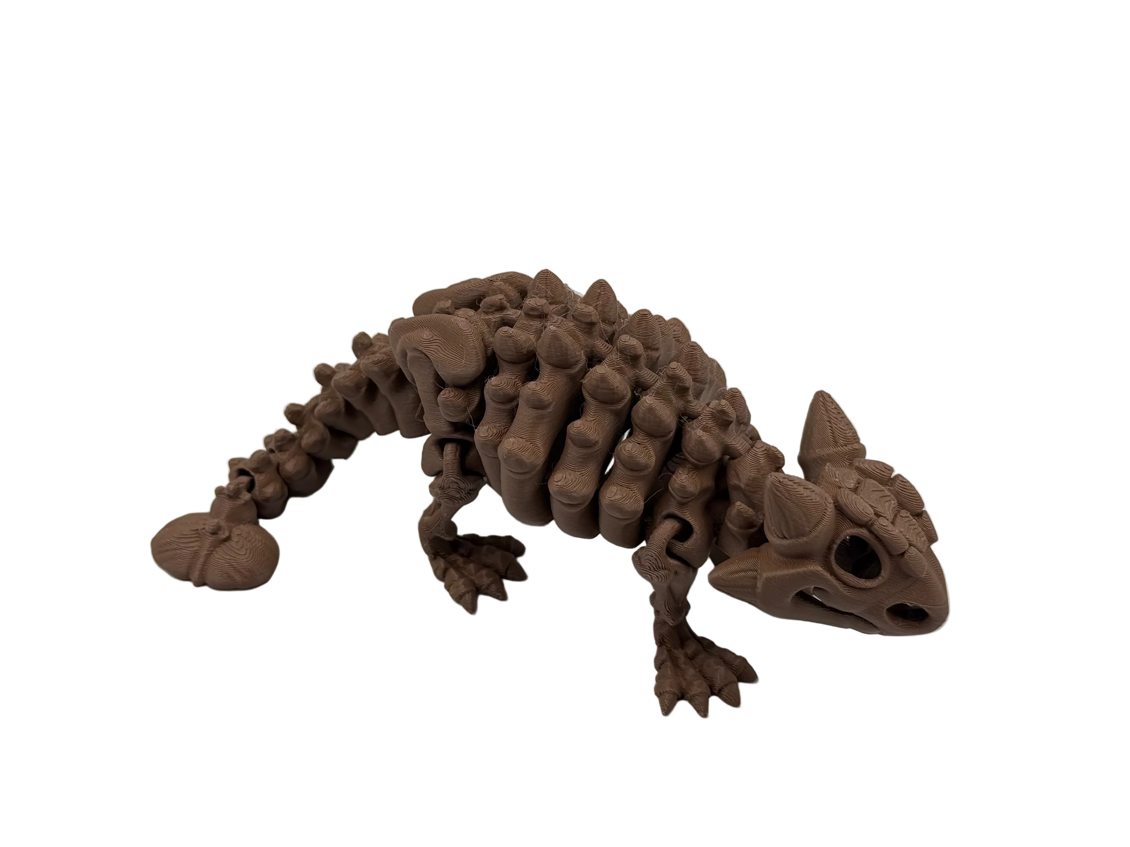 Articulated Skeleton Ankylosaurus