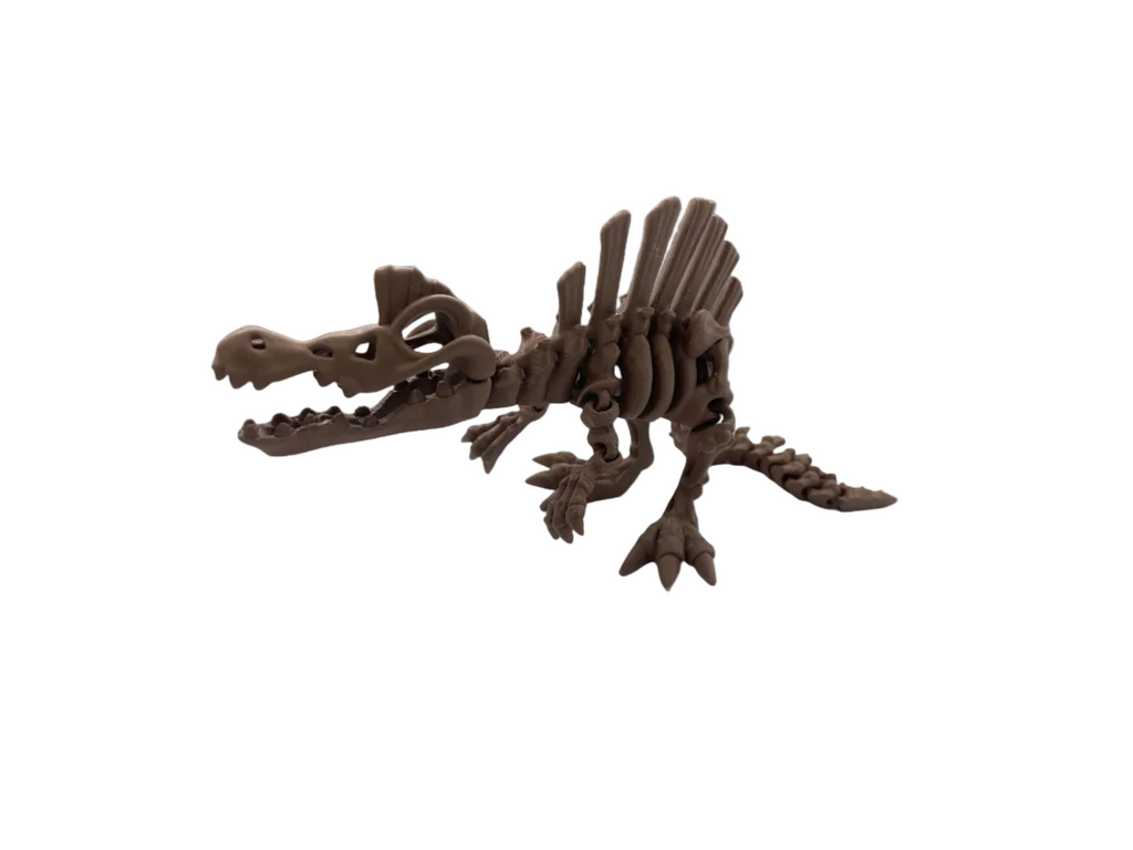 Articulated Spinosaurus