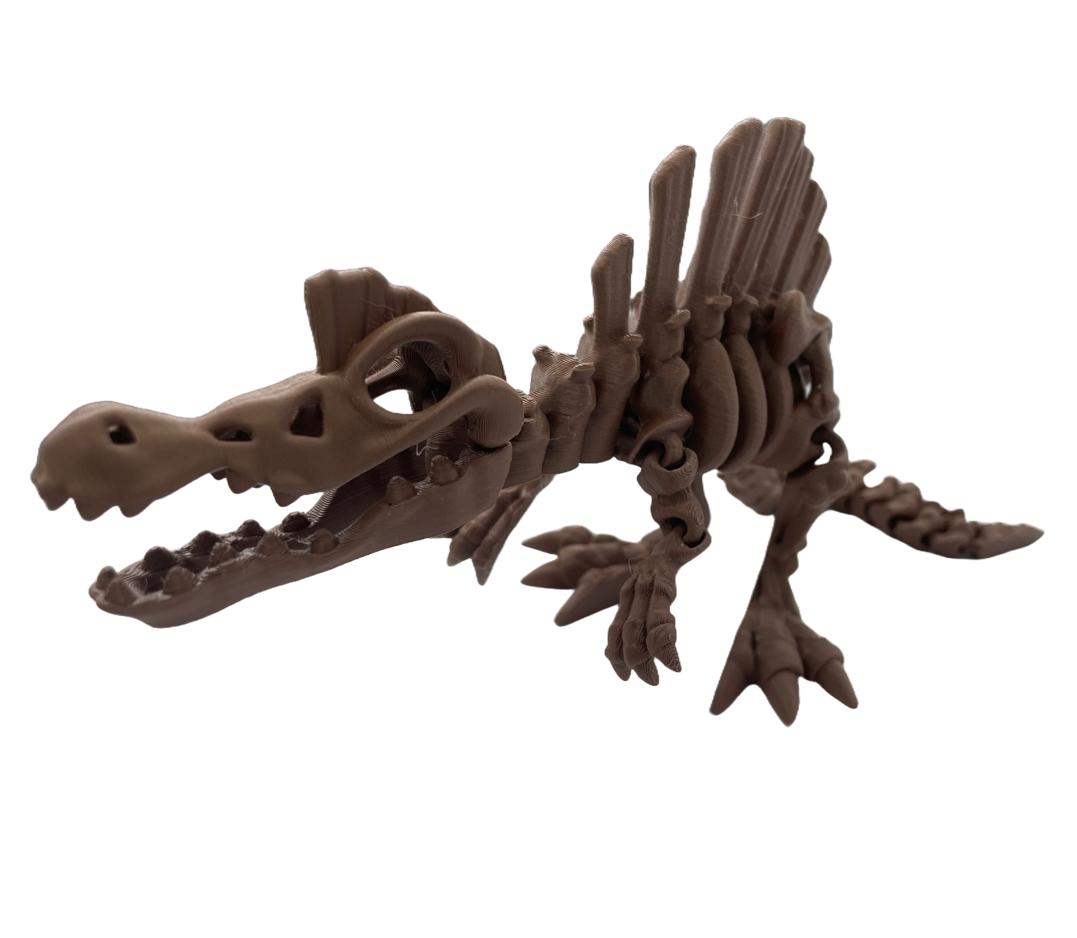 Articulated Spinosaurus