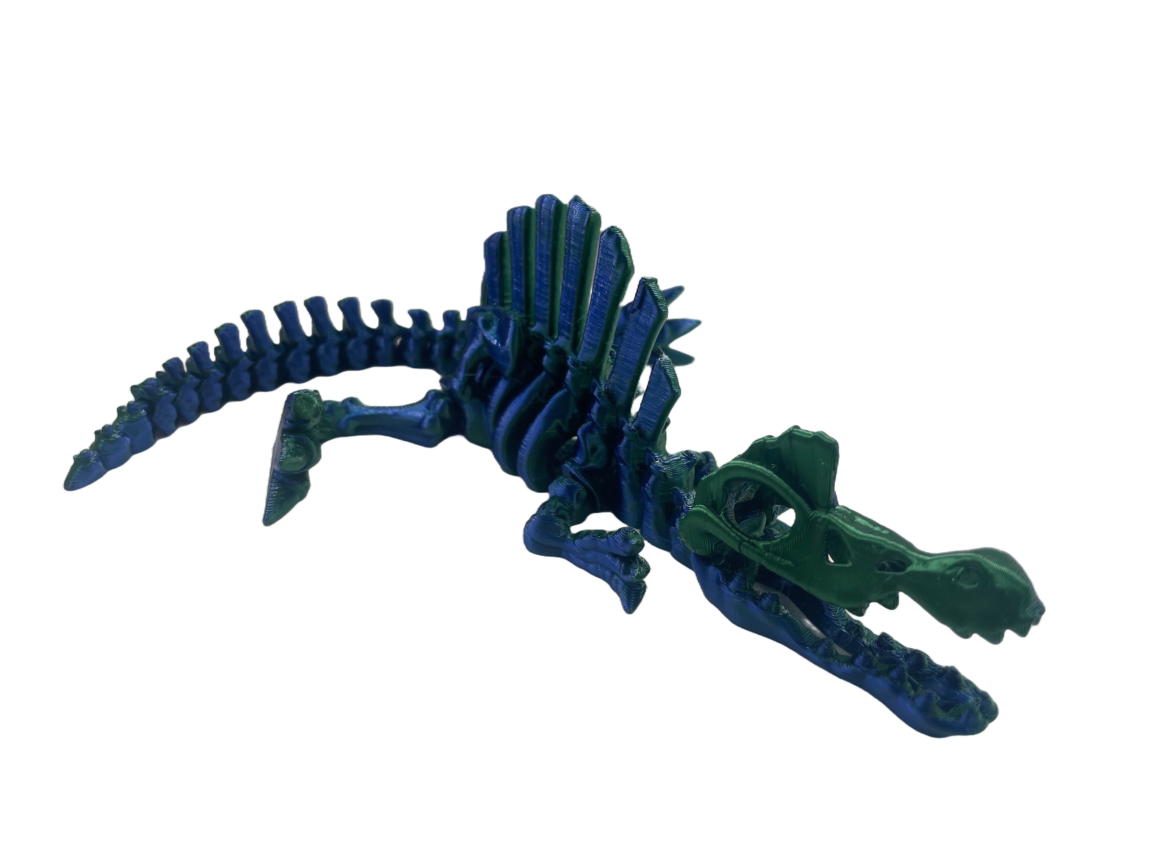 Articulated Spinosaurus