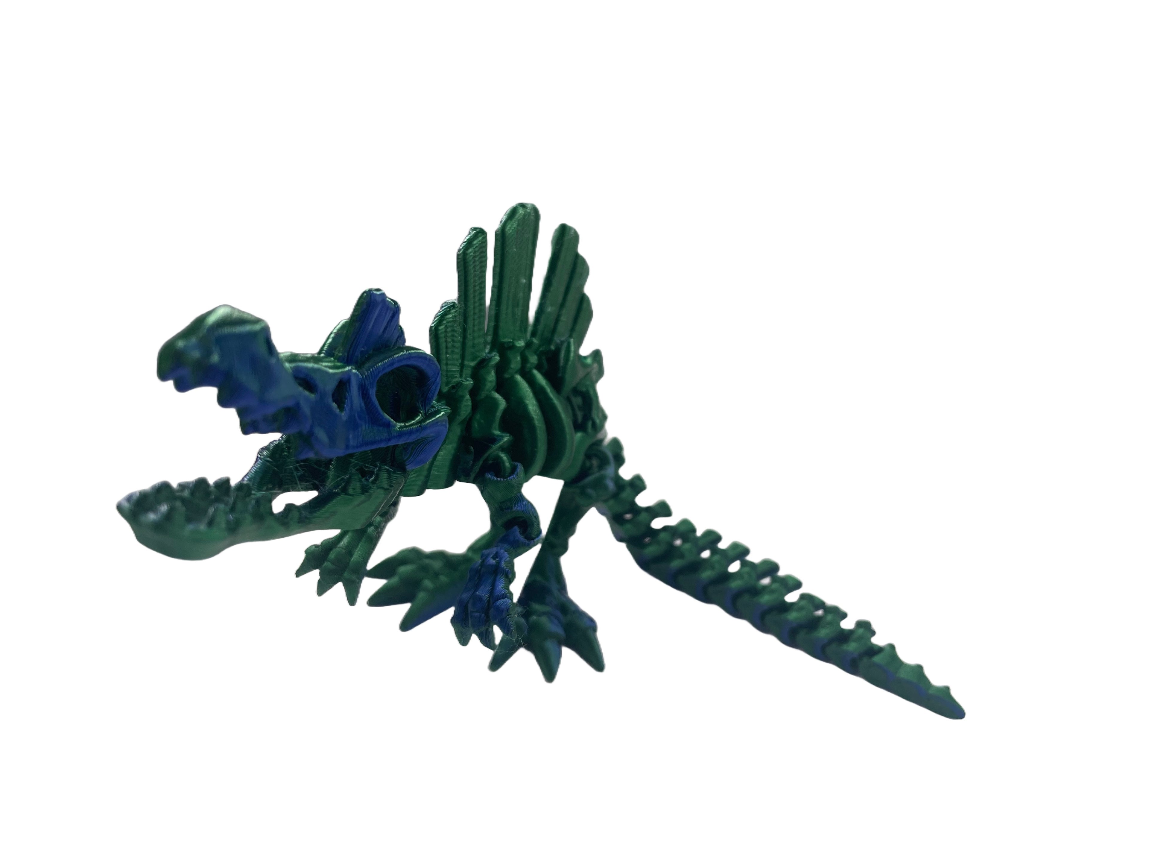 Articulated Spinosaurus
