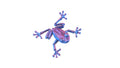 Articulated Frog