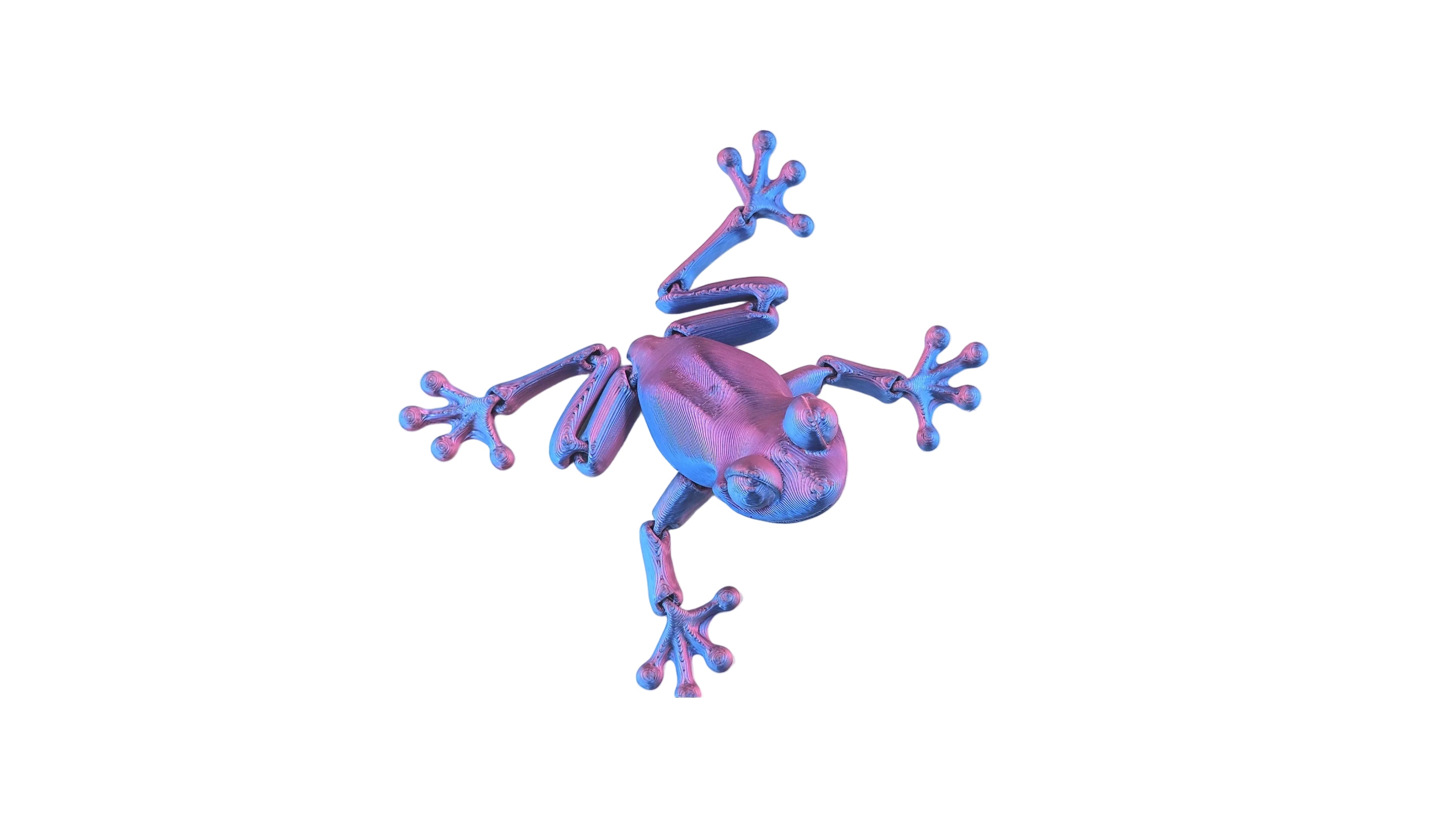 Articulated Frog