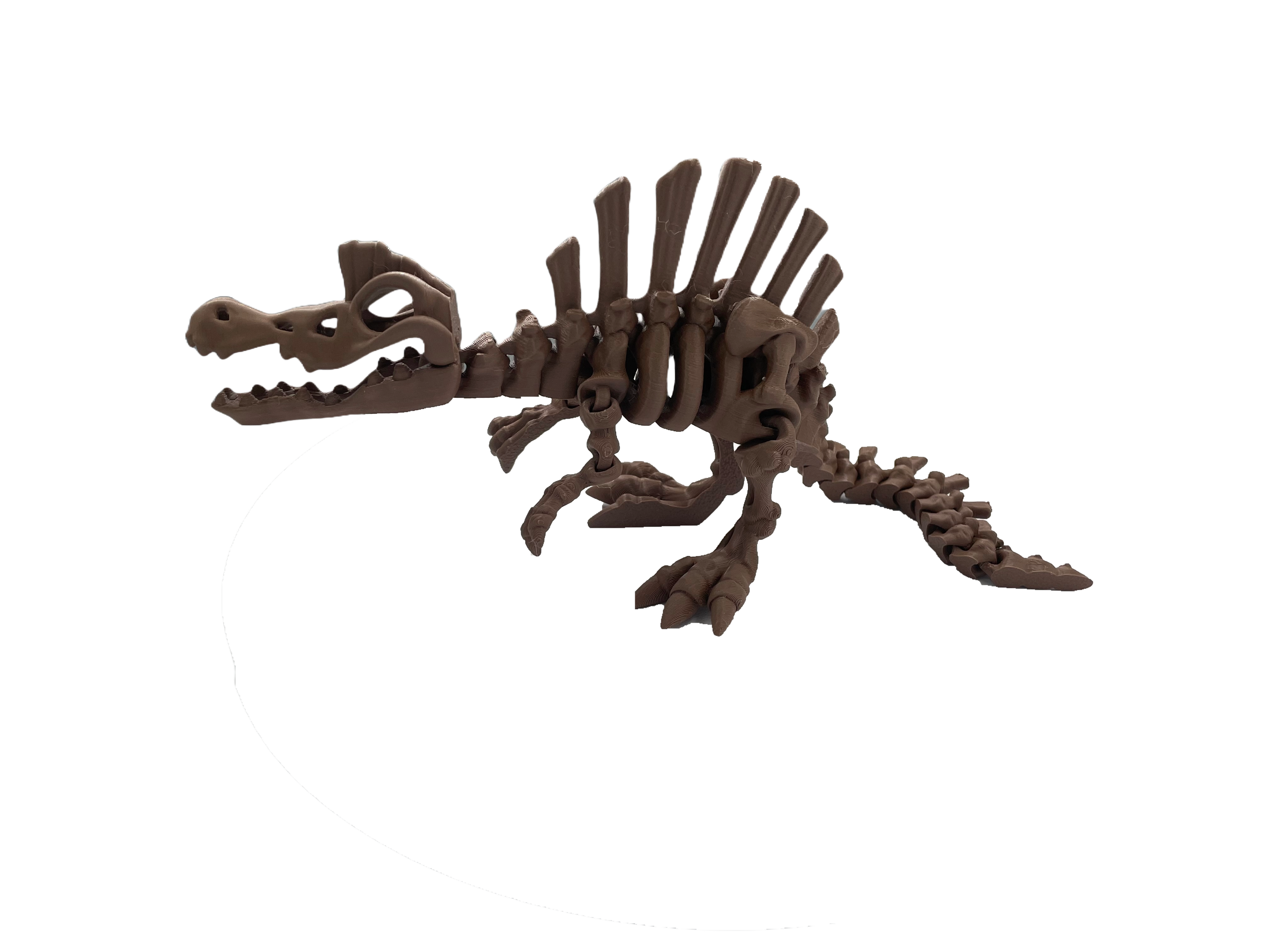 Articulated Spinosaurus