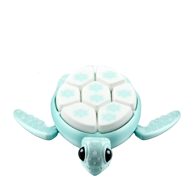 Winter Turtle Paint Clicker