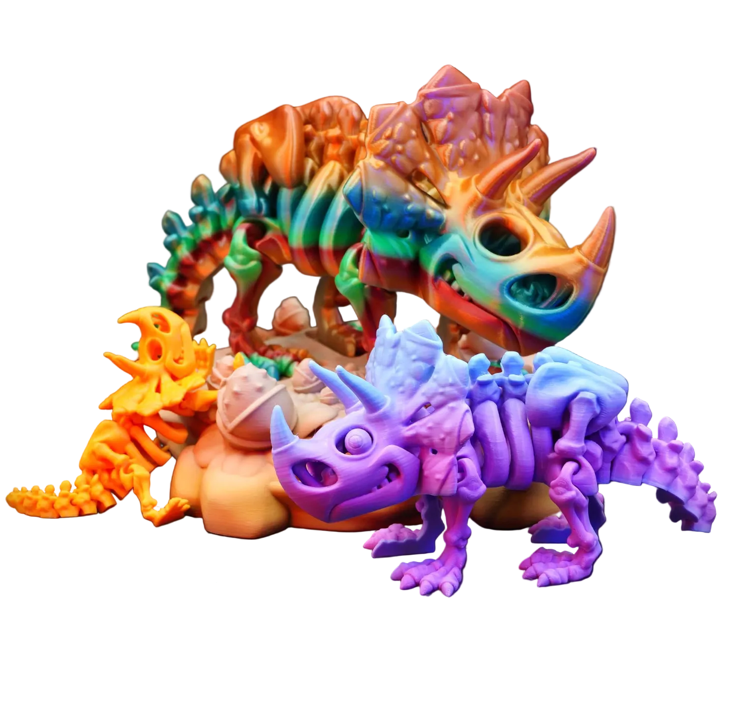 Articulated Skeleton Triceratops