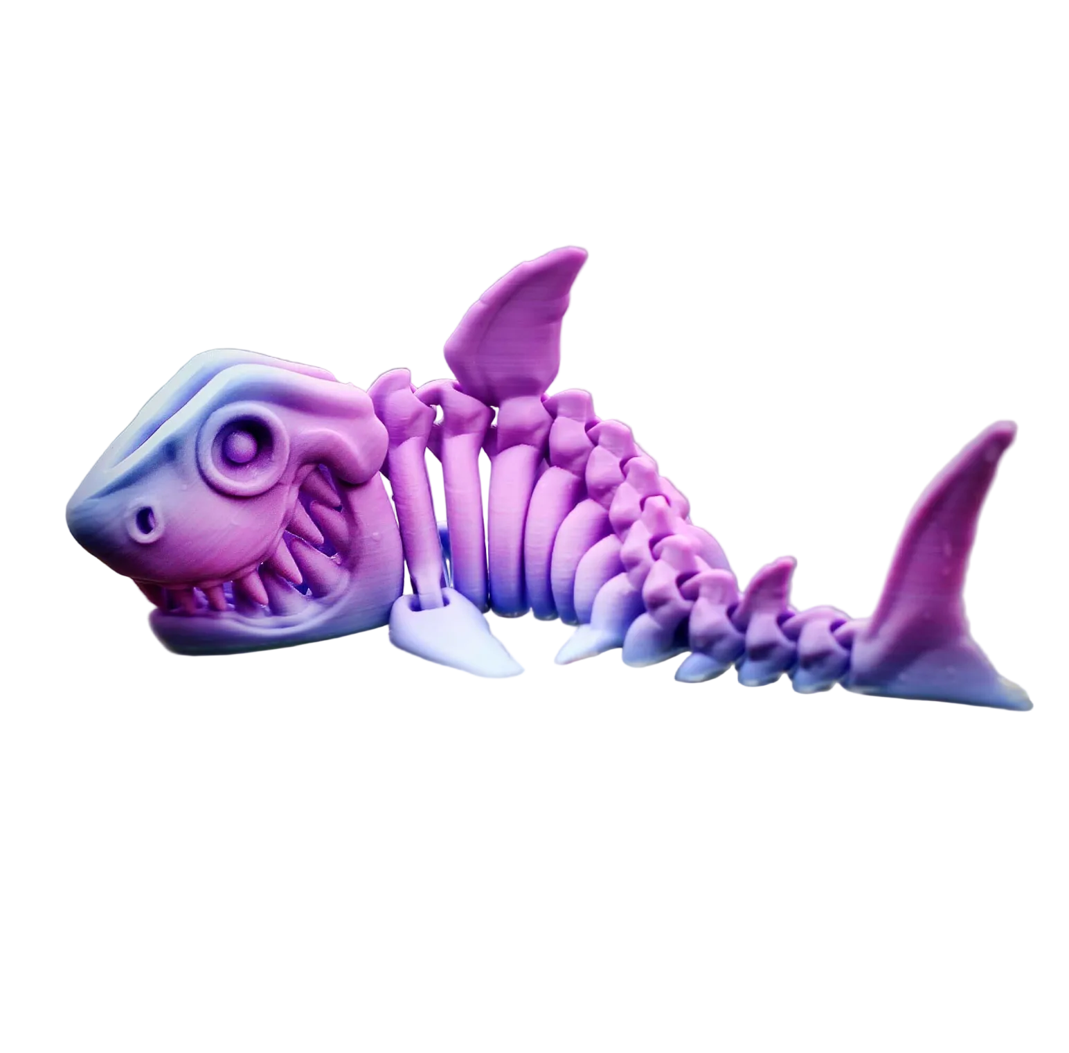 Articulated Skeleton Shark
