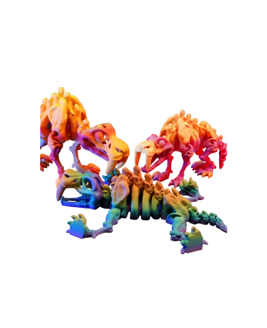 Articulated Skeleton Saber Tooth Tiger