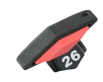 Graduation 2026 Clicker Set